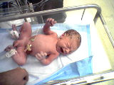 Just Minutes Old